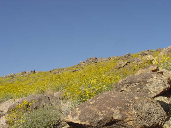 DSC01473