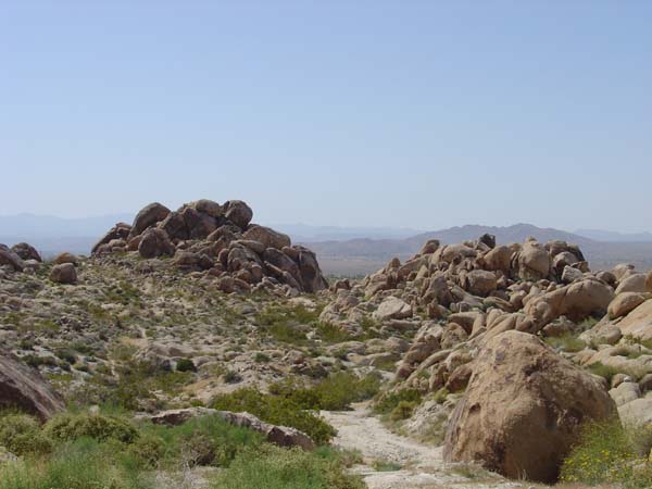 DSC01485
