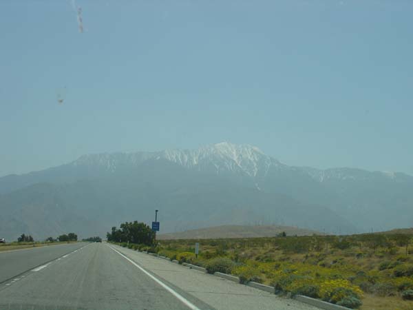 DSC01490